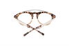 Amos Havana Fade - Optical - Glasses - EstablishedStore.com