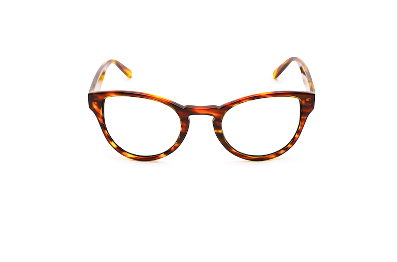 ABEL AMBER OPTICAL - - Eyeglasses - EstablishedStore.com