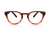 ABEL OCHER - OPTICAL - Eyeglasses - EstablishedStore.com