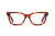 CIRO AMBER - OPTICAL - Eyeglasses - EstablishedStore.com