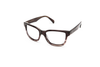 CIRO ASH - OPTICAL - Eyeglasses - EstablishedStore.com