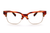 CIRO SL AMBER - OPTICAL - Eyeglasses - EstablishedStore.com