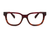 CIRO SUNBURN - OPTICAL - Eyeglasses - EstablishedStore.com