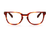 DEST AMBER - OPTICAL - Eyeglasses - EstablishedStore.com