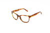 DEST AMBER - OPTICAL - Eyeglasses - EstablishedStore.com