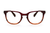 DEST HAVANA - OPTICAL - Eyeglasses - EstablishedStore.com