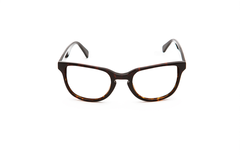 DEST HAVANA - OPTICAL - Eyeglasses - EstablishedStore.com