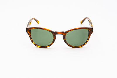 ABEL AMBER - Designer Sunglasses - EstablishedStore.com