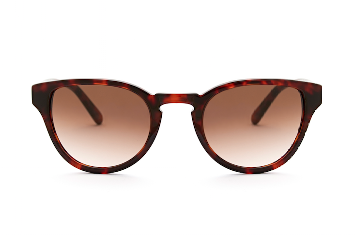 ABEL HAVANA - Sunglass - EstablishedStore.com