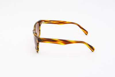 CIRO AMBER - Designer Sunglasses - EstablishedStore.com