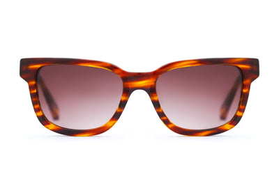 CIRO AMBER - Designer Sunglasses - EstablishedStore.com