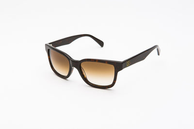 CIRO HAVANA - Glasses - EstablishedStore.com