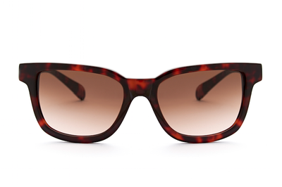 CIRO HAVANA - Glasses - EstablishedStore.com